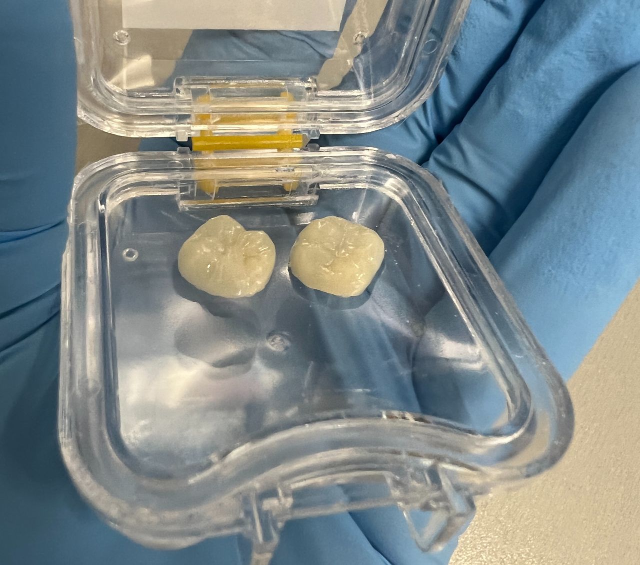 Małgorzata Protasewicz-Nowicka-30