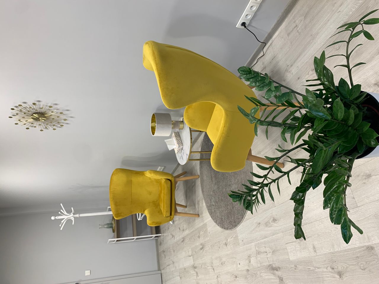 Paulina Bartkiewicz-1