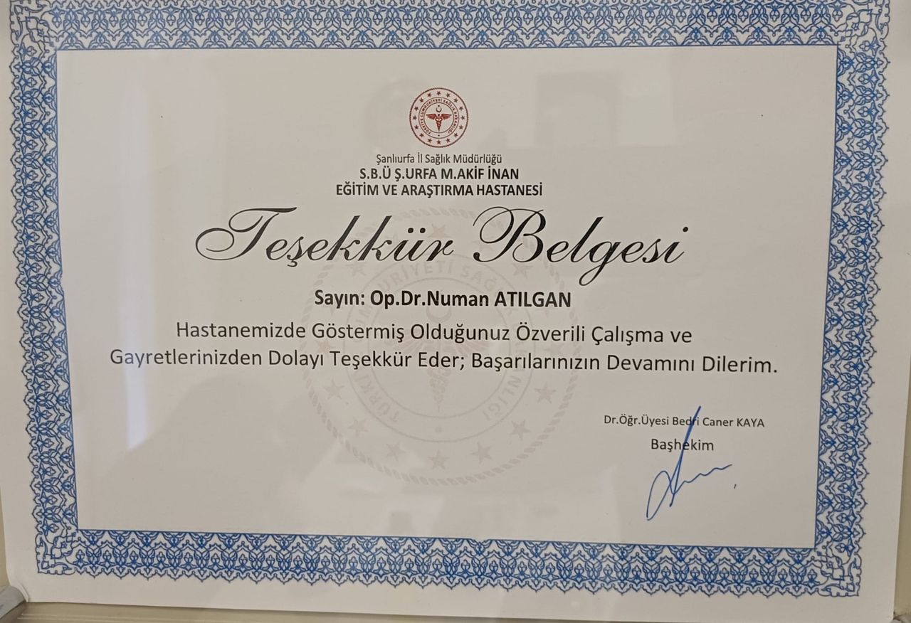 Numan Atılgan-11