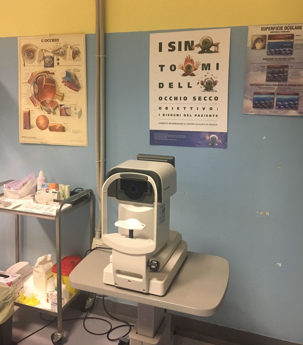 Petia Mihaylova Tzanova Kaneva-4