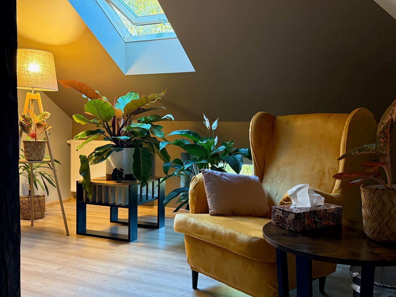 Magdalena Hossadyna-0