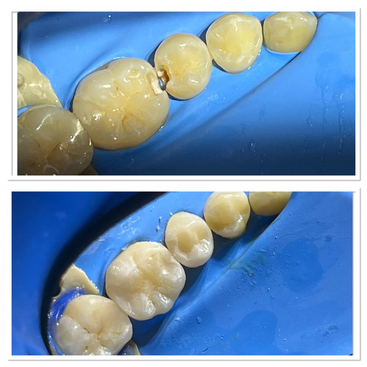 Anna Chmielecka-Borusewicz-4