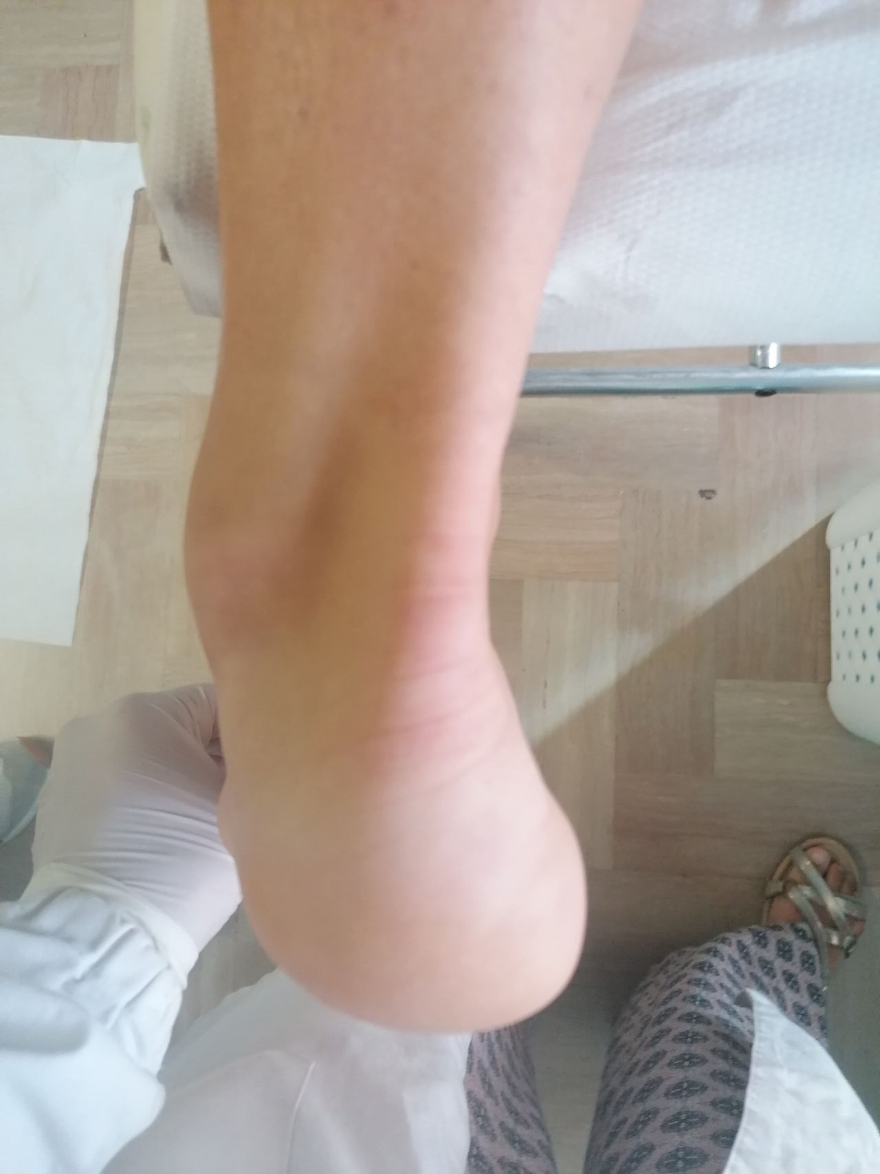 Kassandra Nicolosi-107