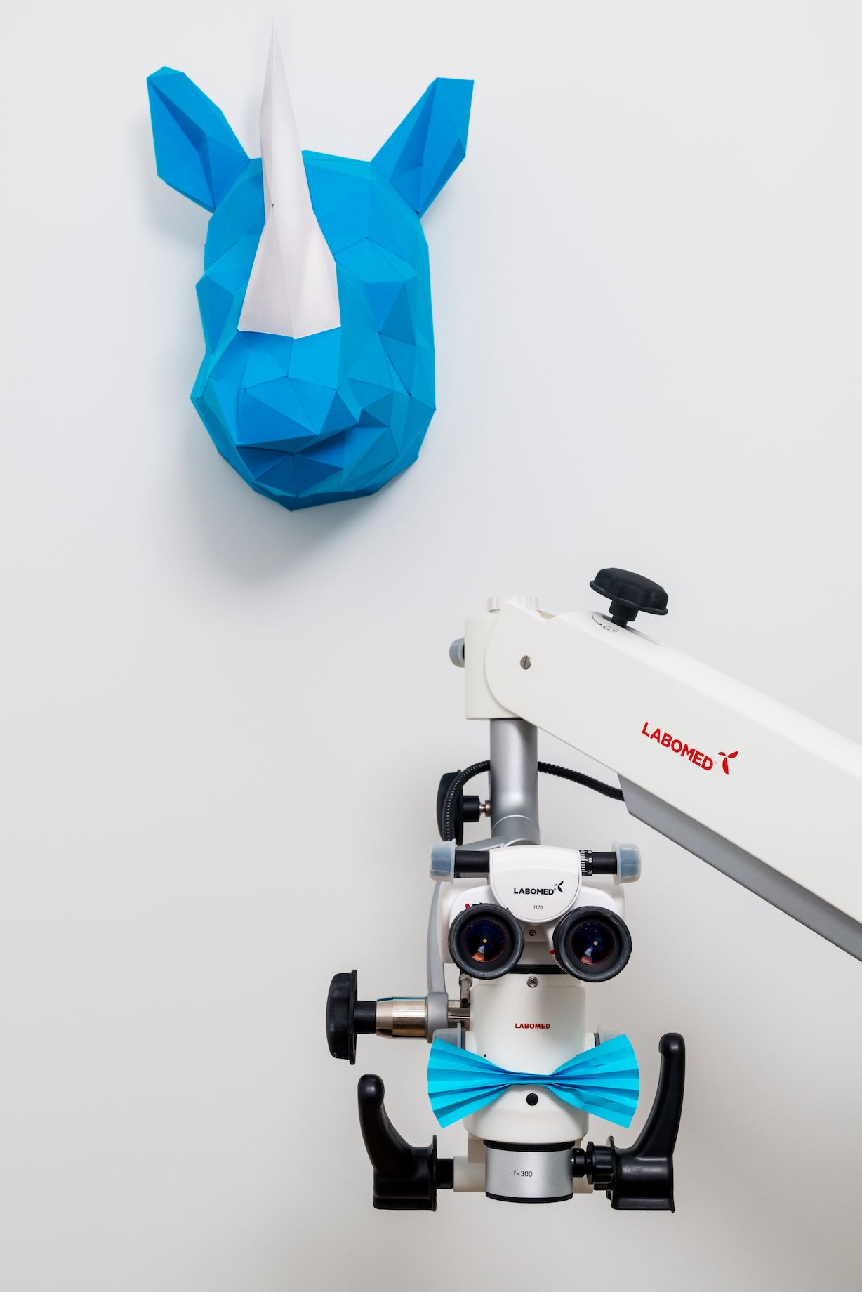 Wiktoria Lachowska-1