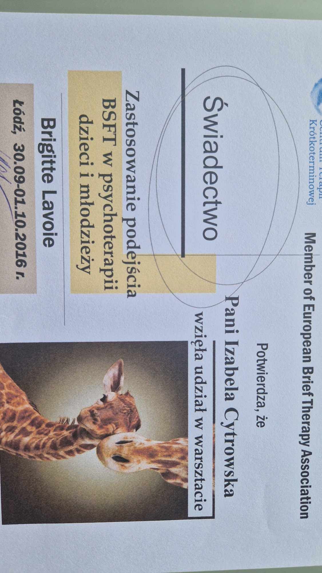 Izabela Cytrowska-Trela-35