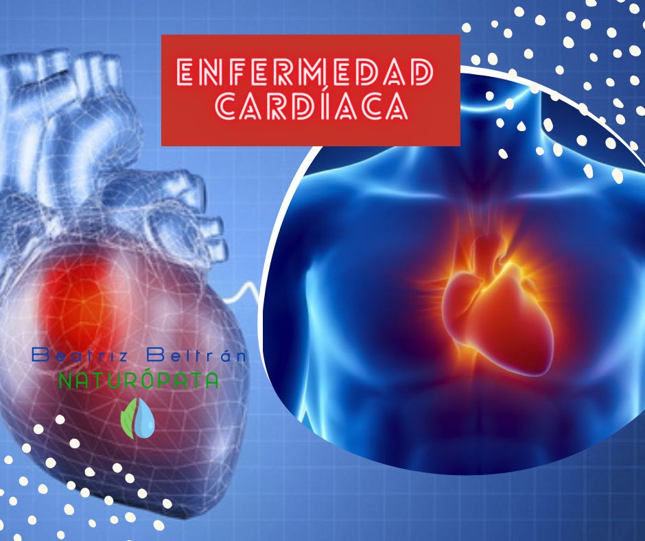 Beatriz Beltran Jordá-14