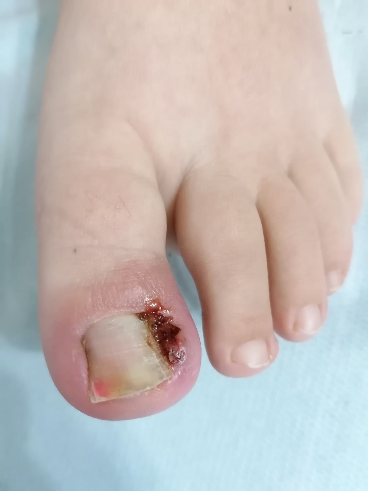 Kassandra Nicolosi-48