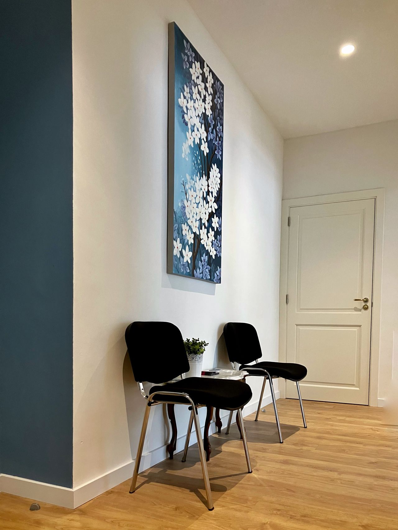 Carme Vallcaneras Ochogavía-2