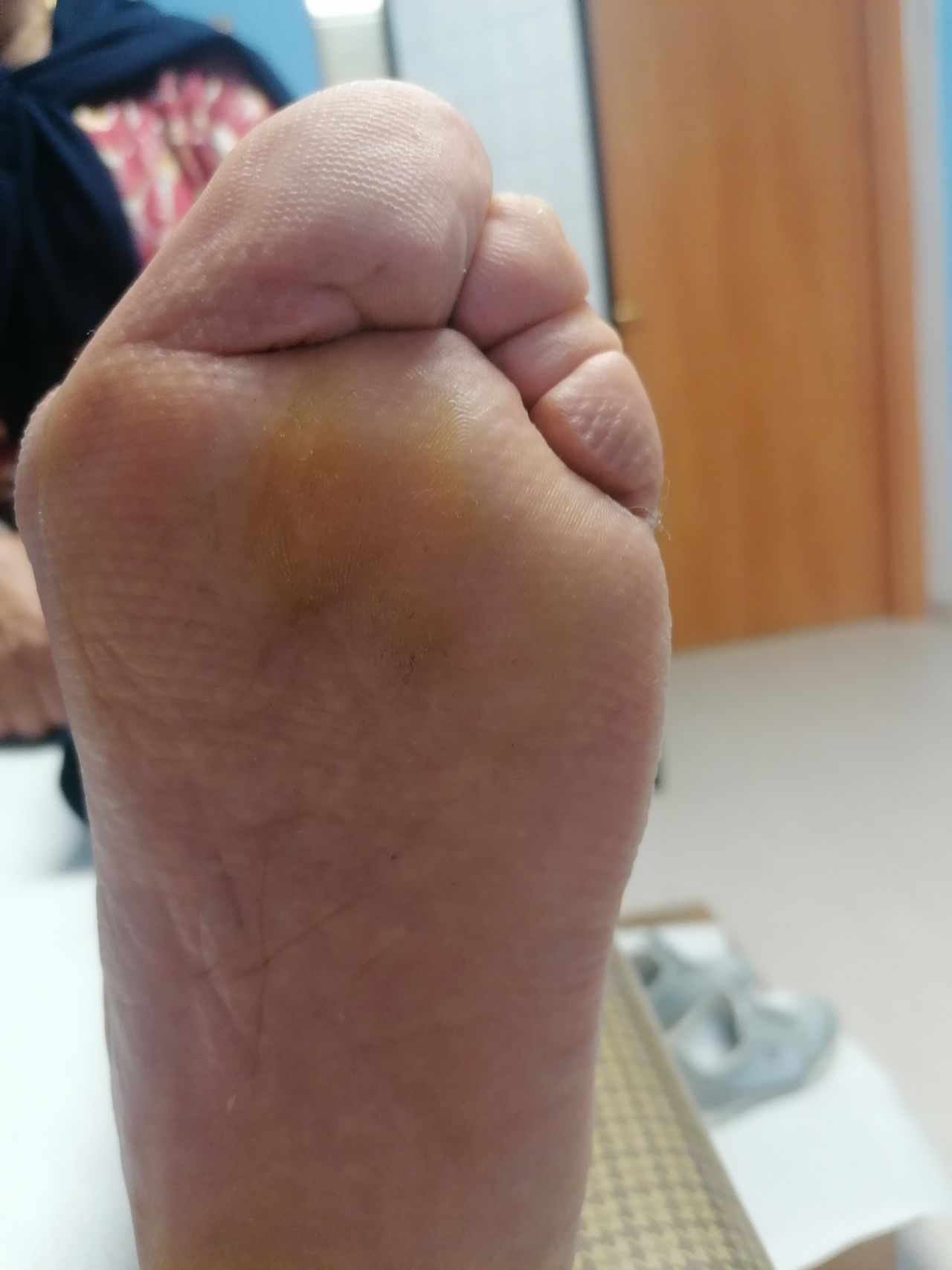 Kassandra Nicolosi-296