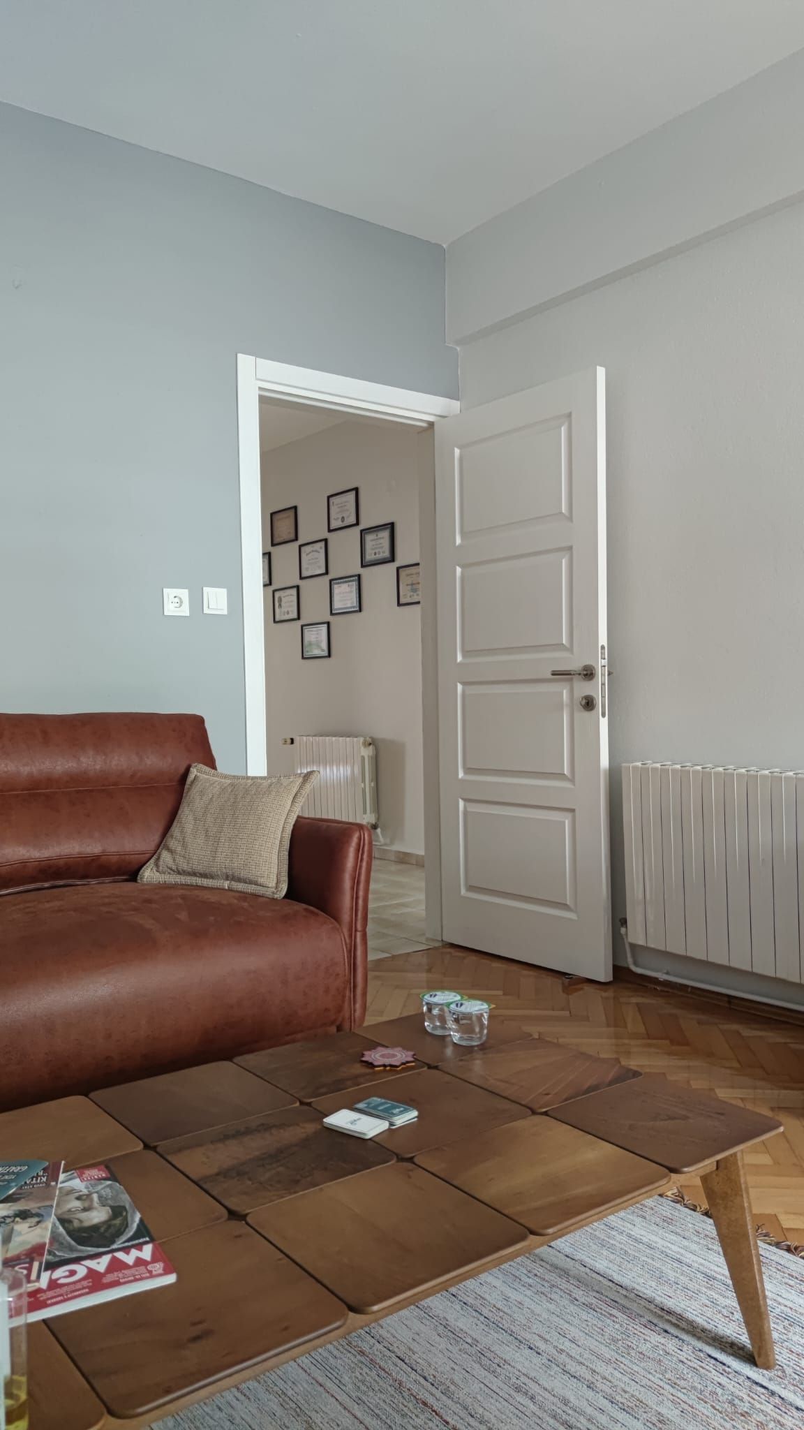 İrem Merve Birdal Ok-1