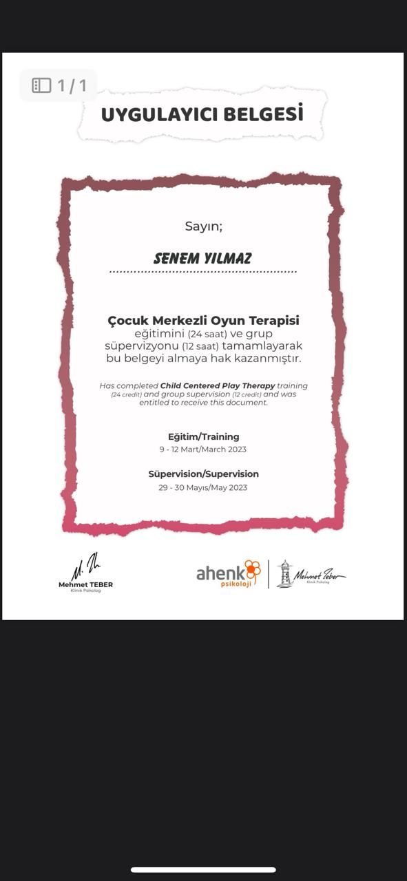 Senem Konya Yılmaz-3