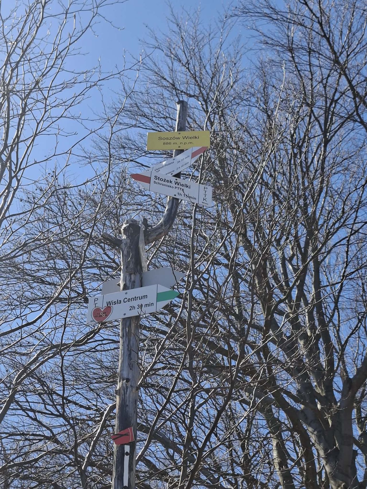 Barbara Hebenstreit-9