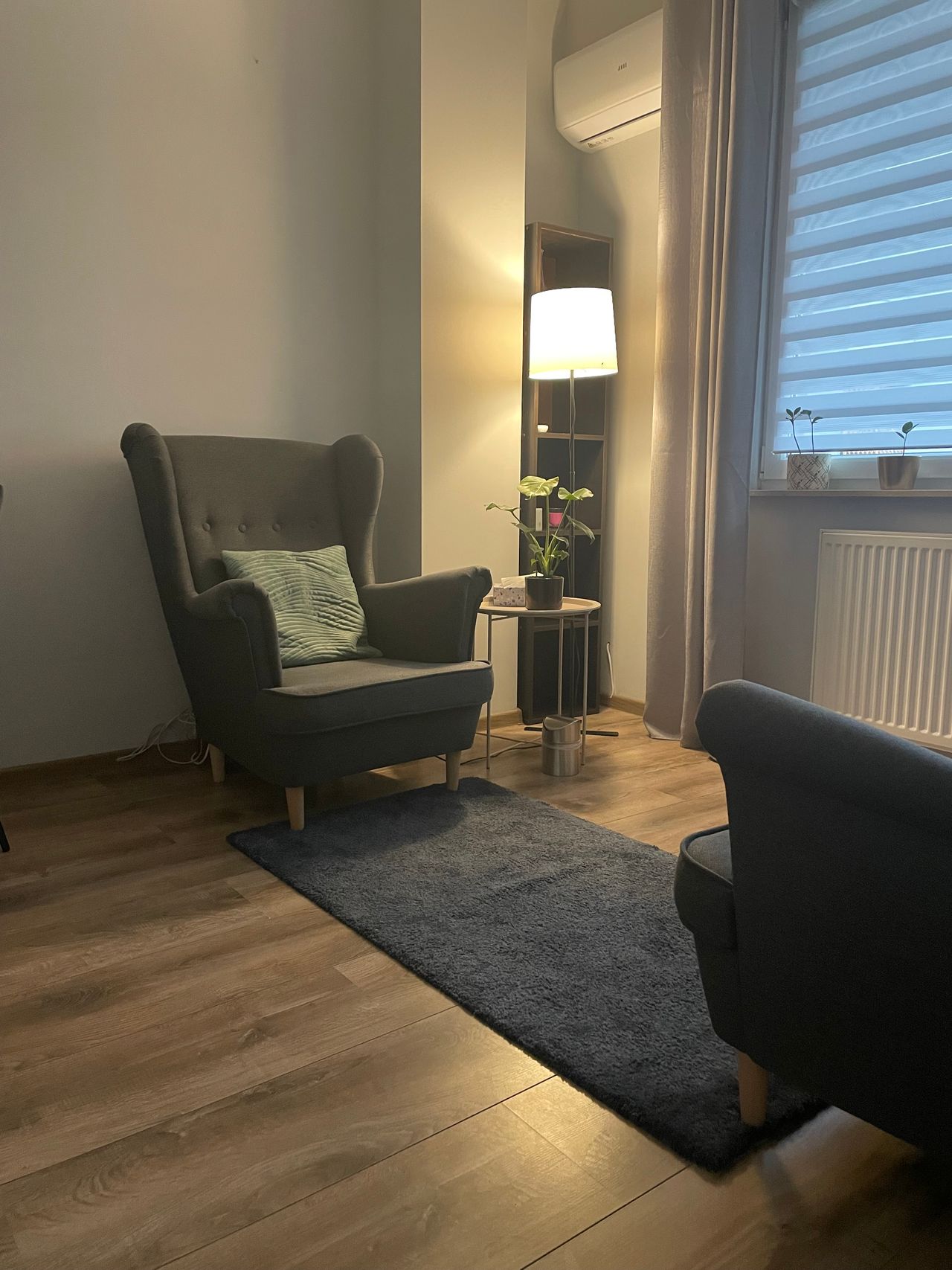 Agnieszka Skwarczyńska-Szlasa-7