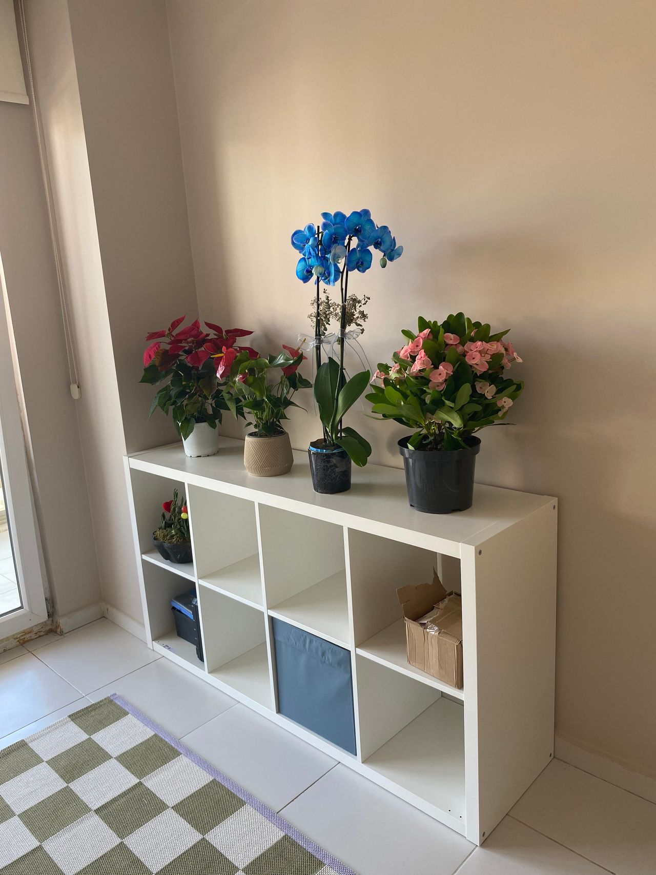 Özge Sert Alliş-12