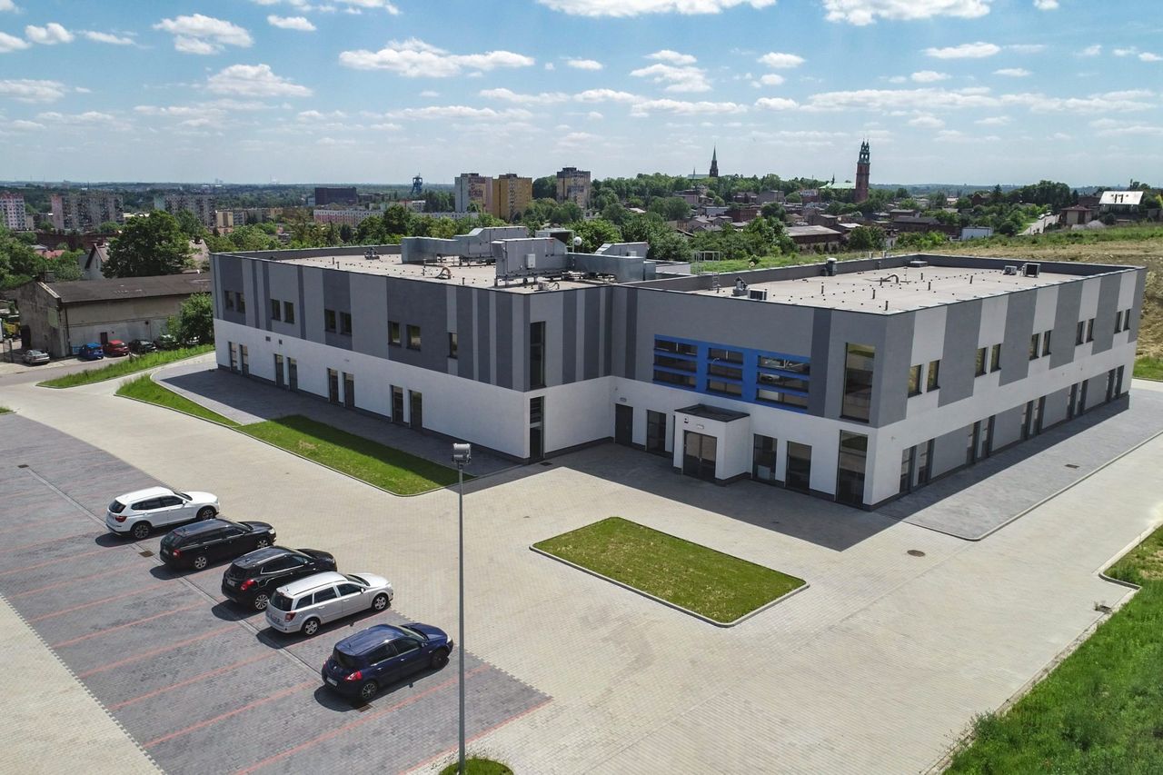 Danuta Pawlik-Knapik-0