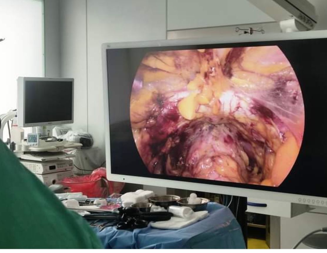 Piotr Cieśliński-14