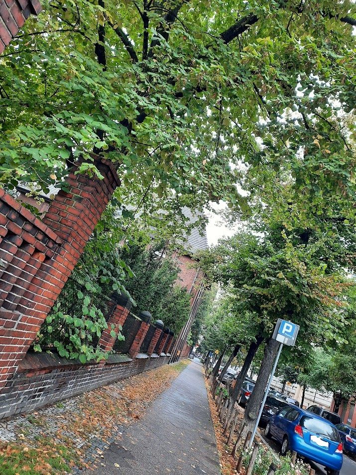 Justyna Majkowska-12