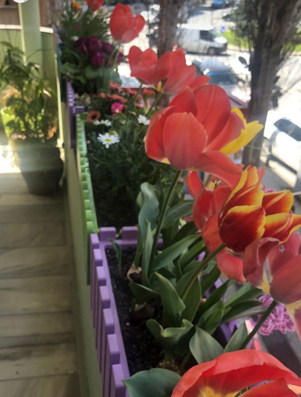 Sarah Merve Ahmad-16