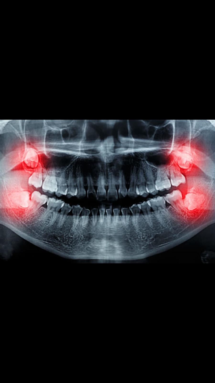 Muhammed Selim Yavuz-3