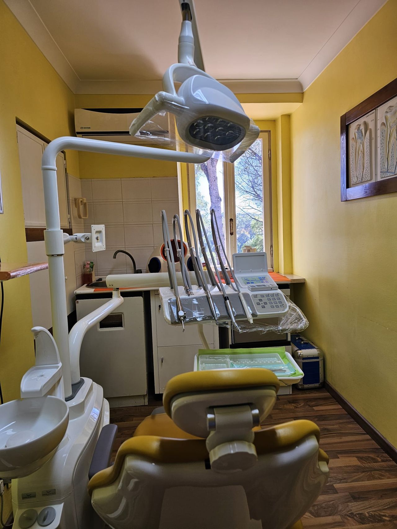 Giselda Di Giacomo-3