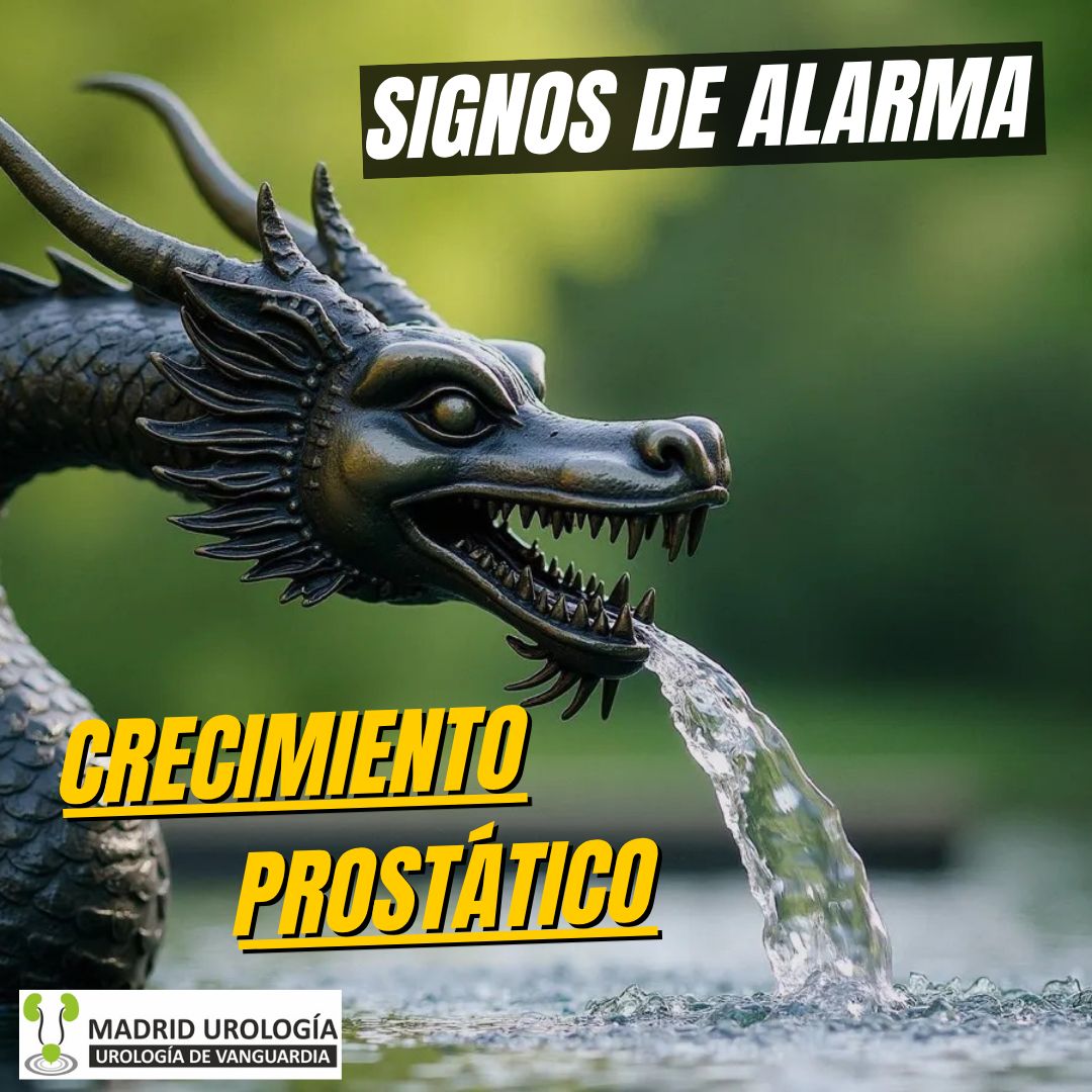 Luis Fernando Susaníbar Napurí-70