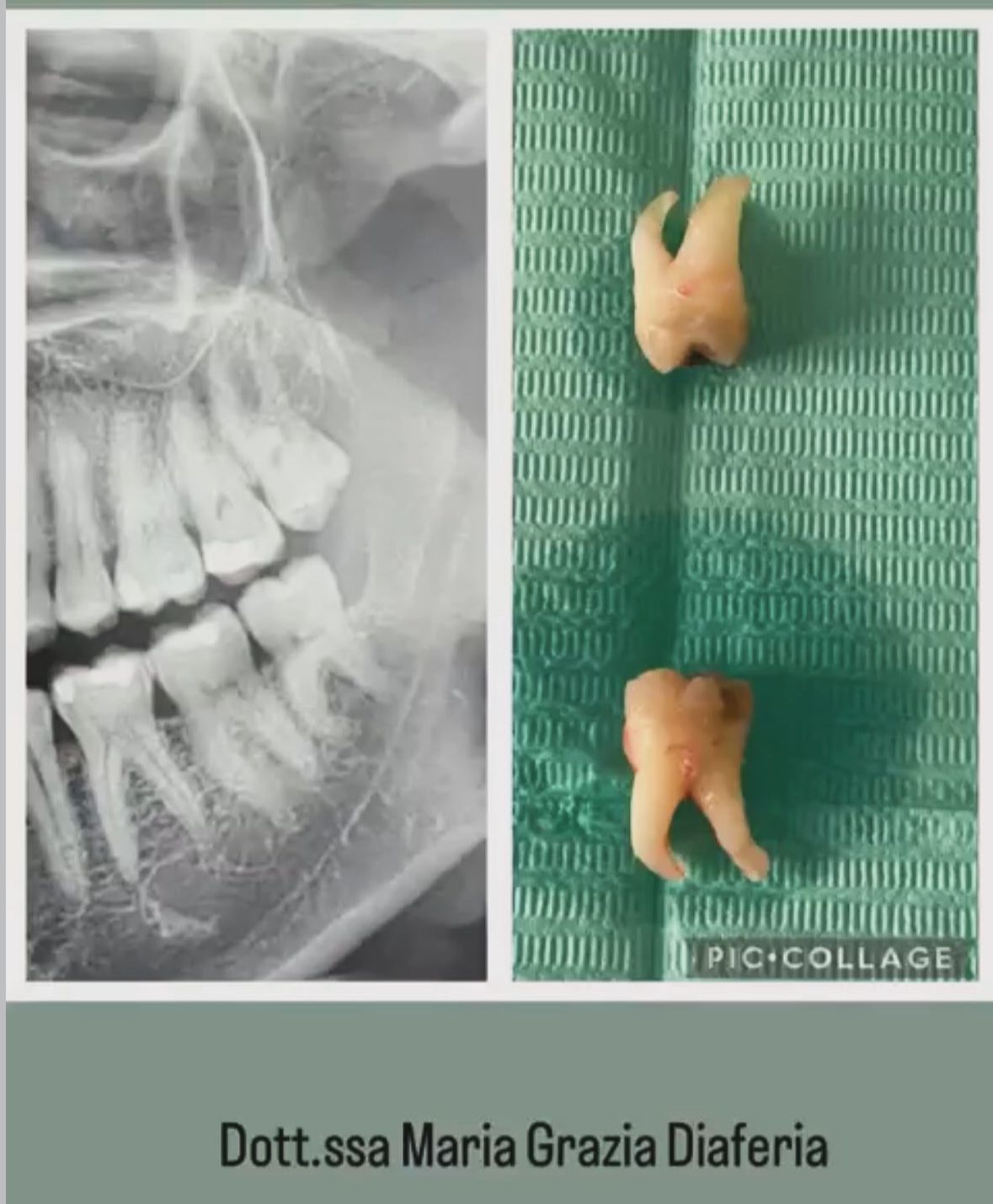 Maria Grazia Diaferia-34