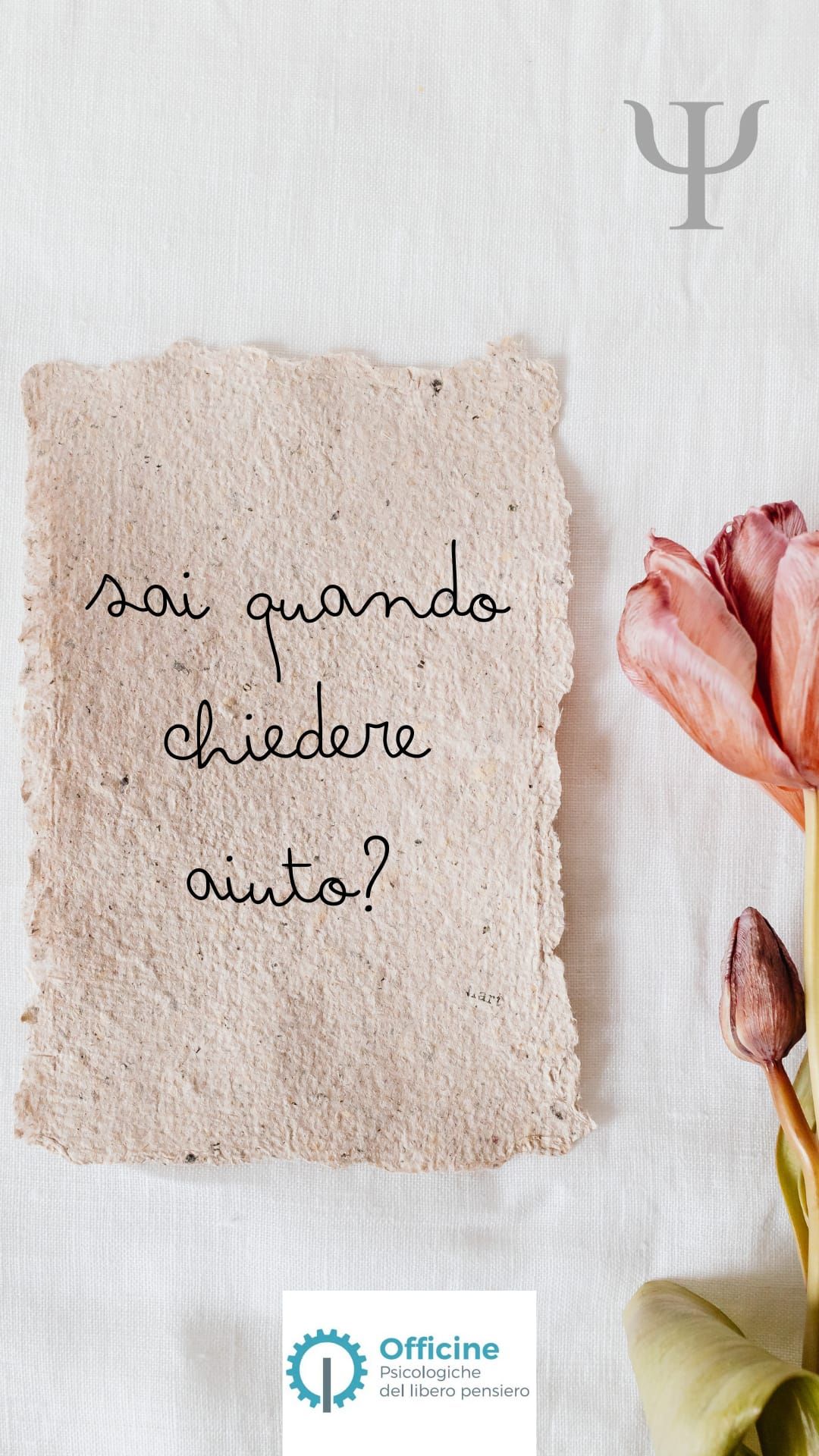 Maria Francesca Romeo-1