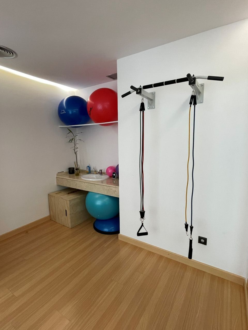 Carolina Rodrigo Avilés-3