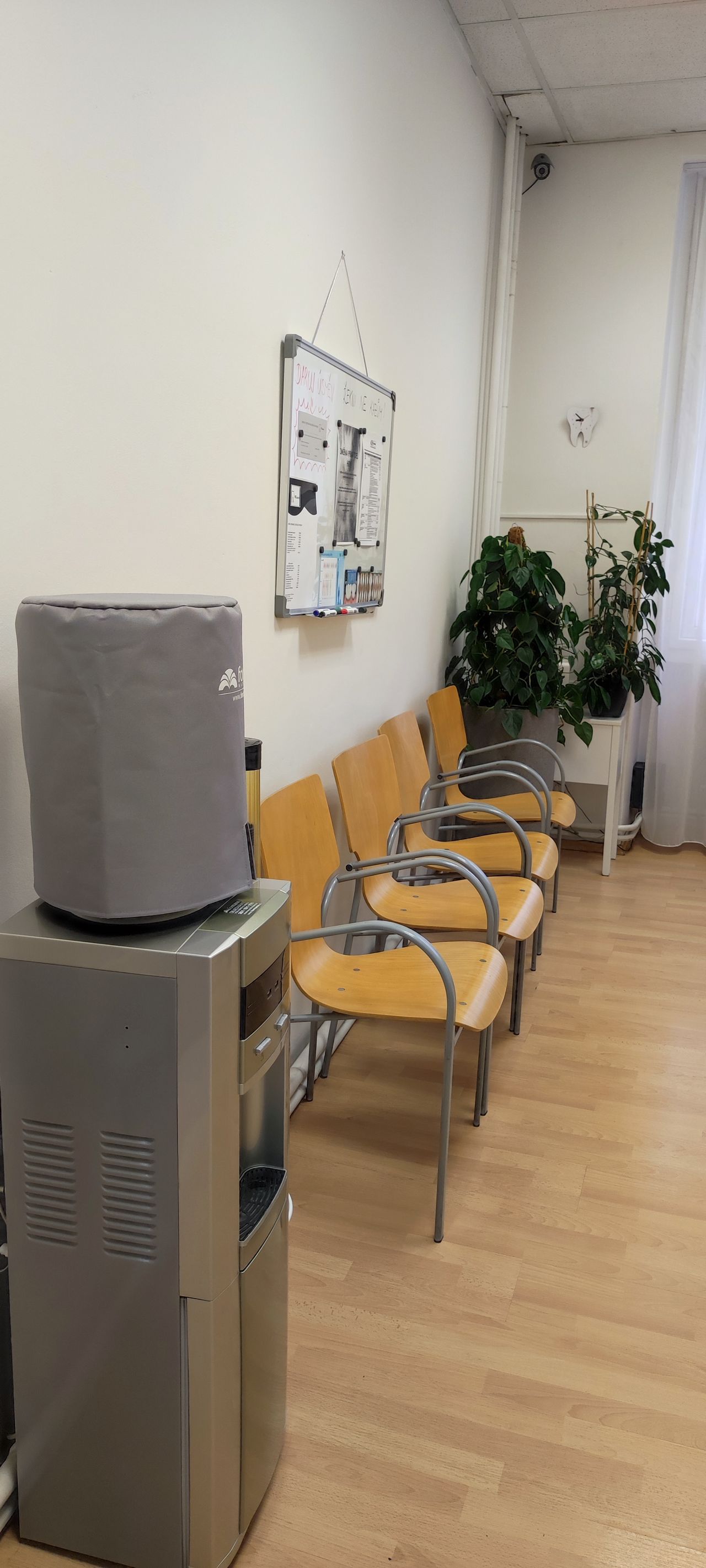 Eva Kmentová Dis. Et Dis.-4