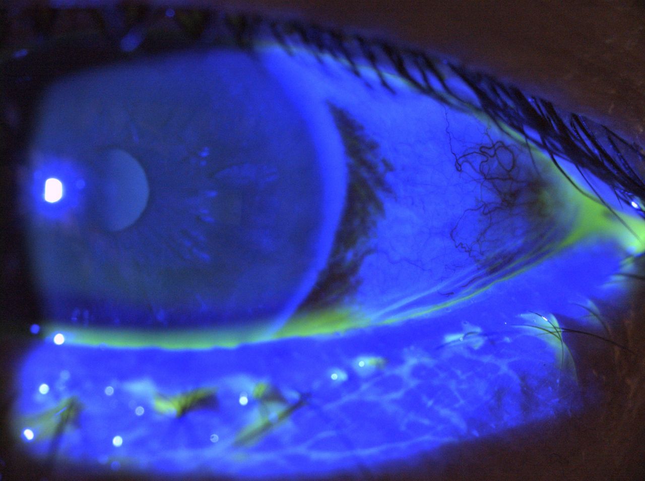 Dr. Med. Univ. Florian Auerbach Febo, Mhba-10