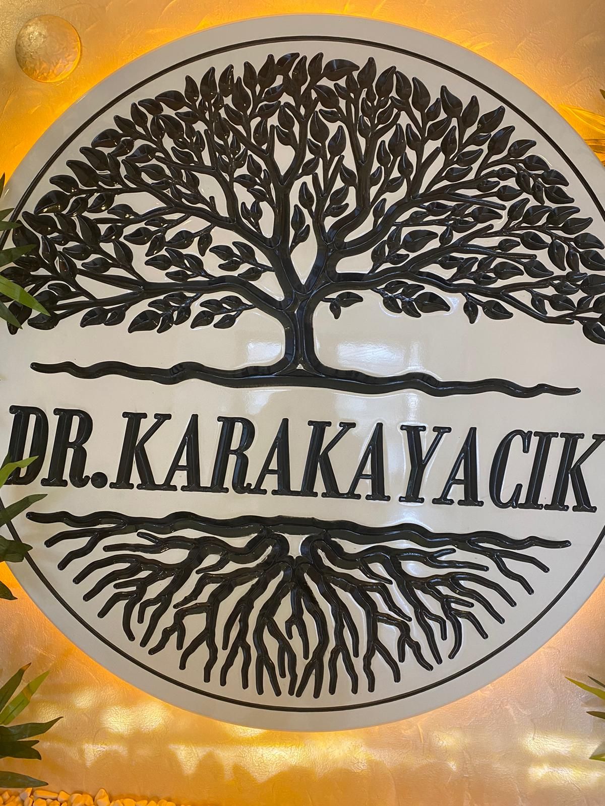 Kudret Karakayacık-1