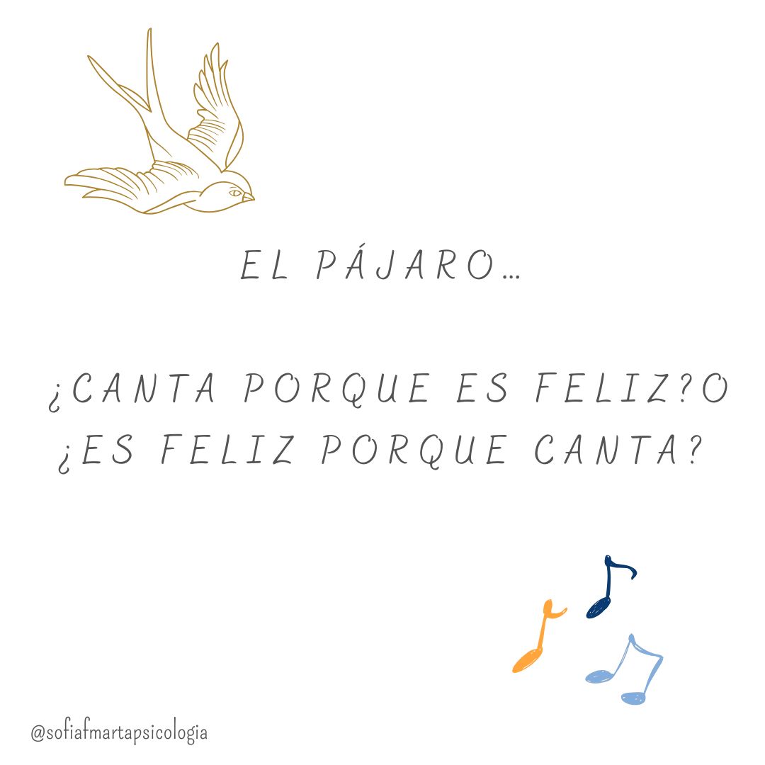 Sofía Fernández Marta-4