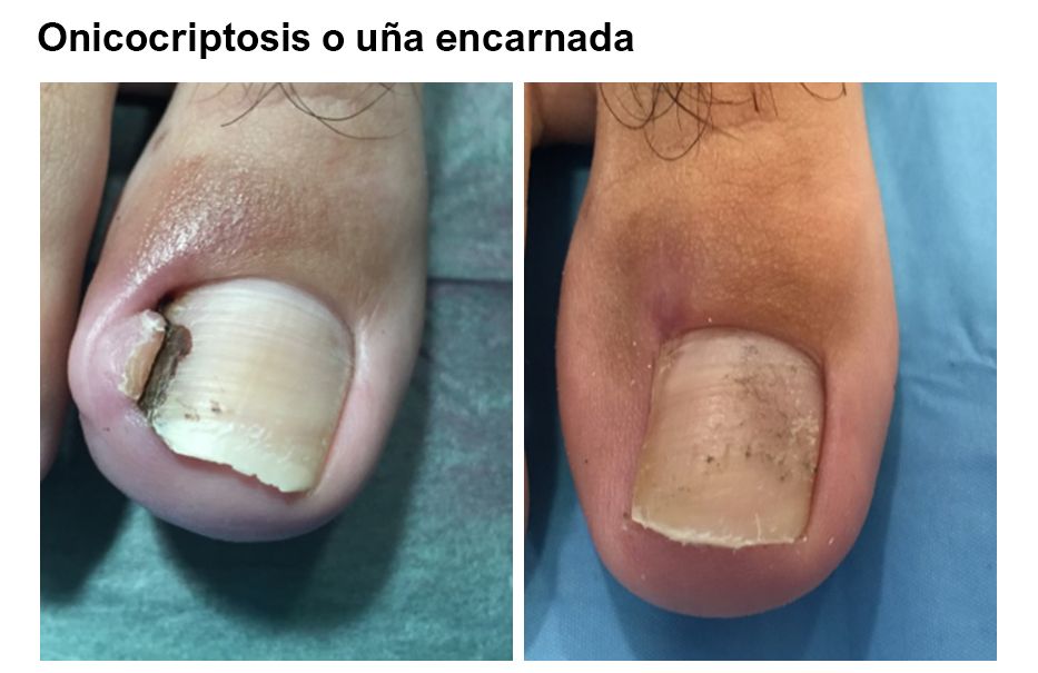 Luis Castillo Sanchez-10