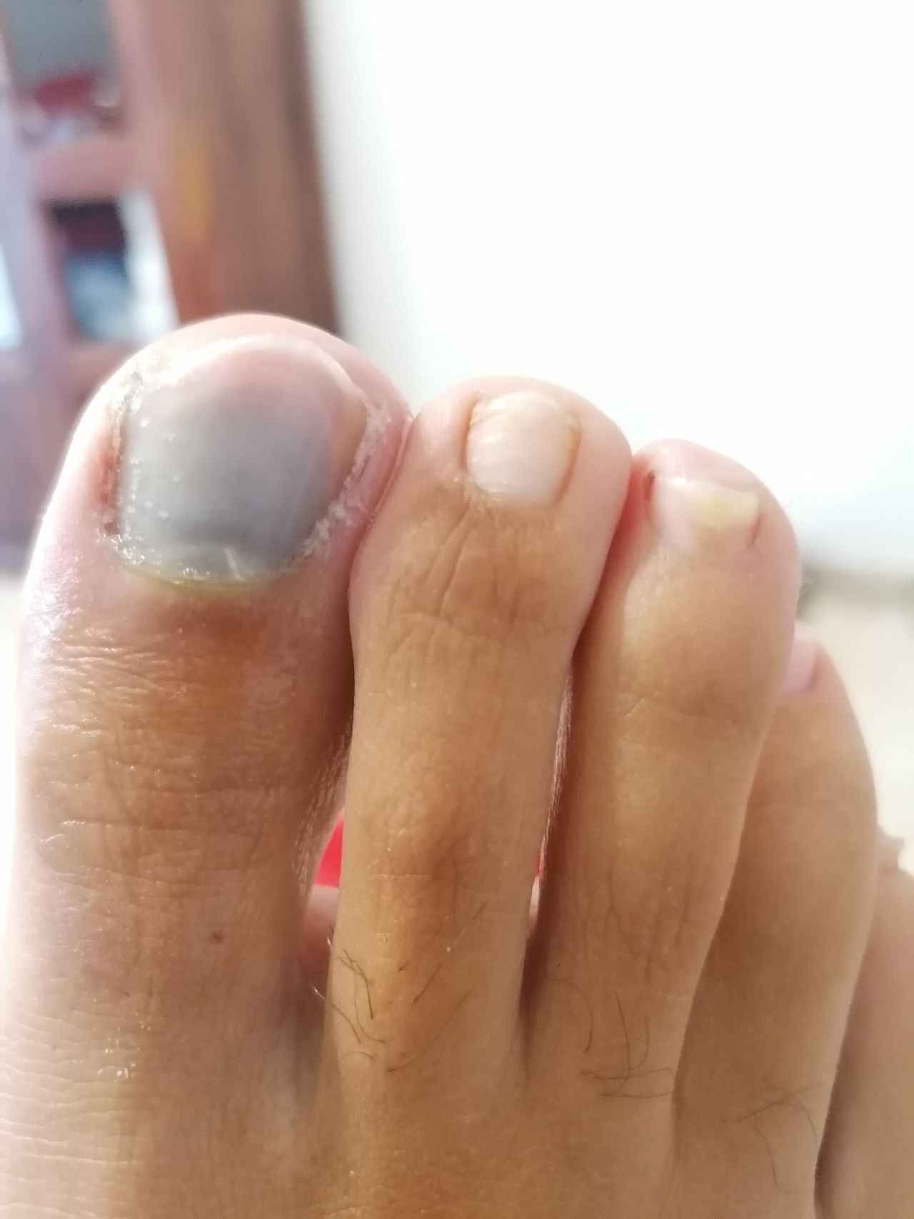 Kassandra Nicolosi-326