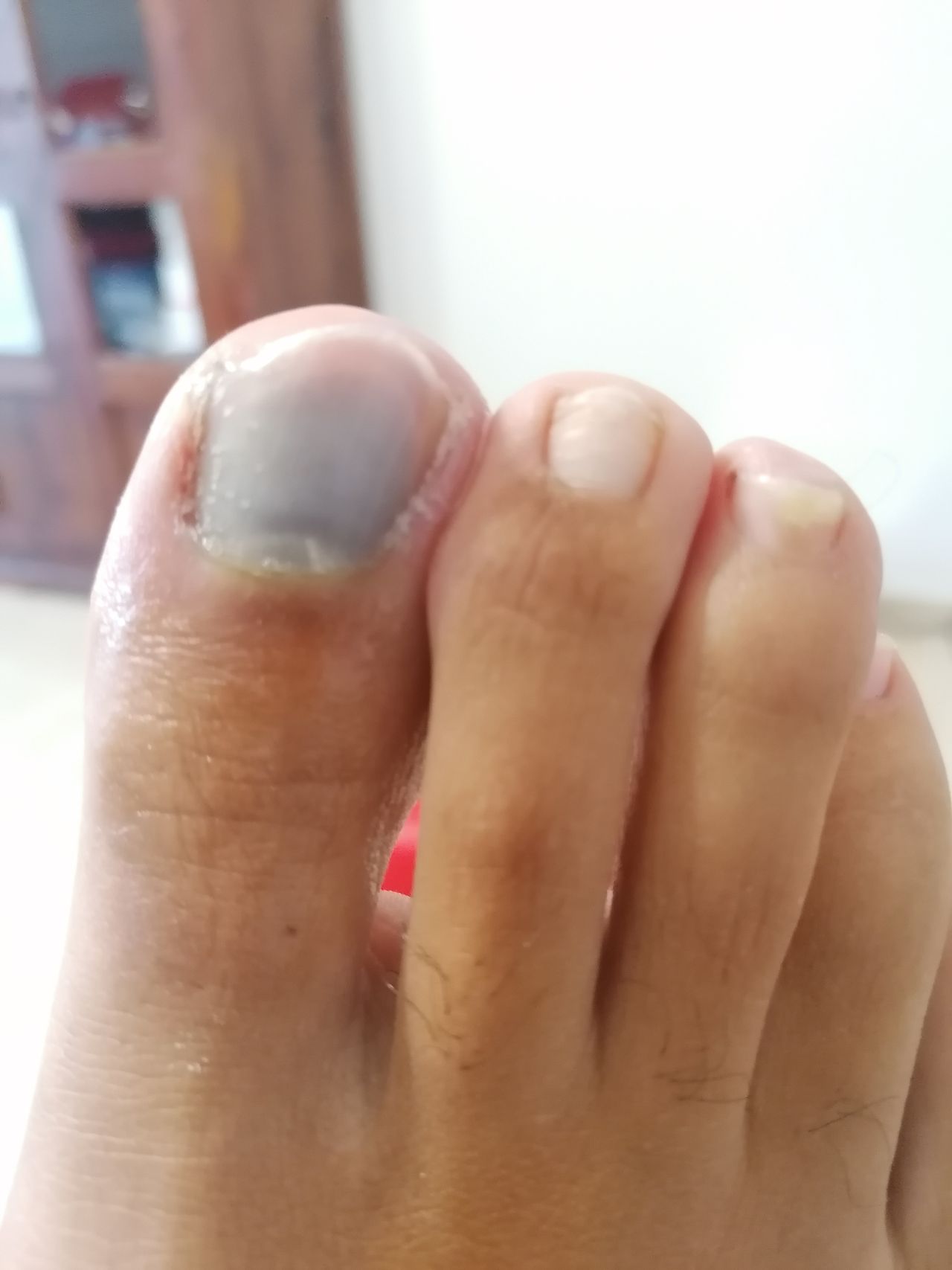 Kassandra Nicolosi-321