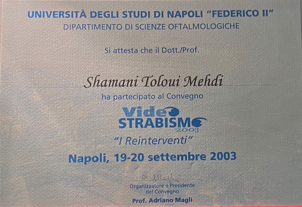 Mehdi Toloui Shamami-4