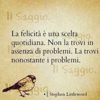 Francesco Sonzogni-28