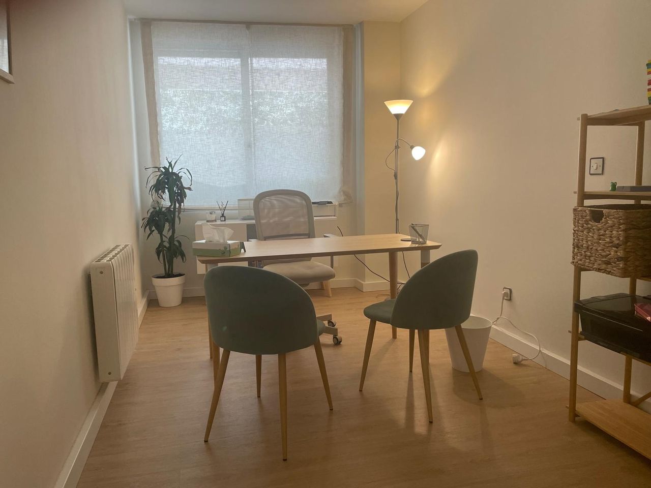 Mª Paz Gonzalez Calero-2