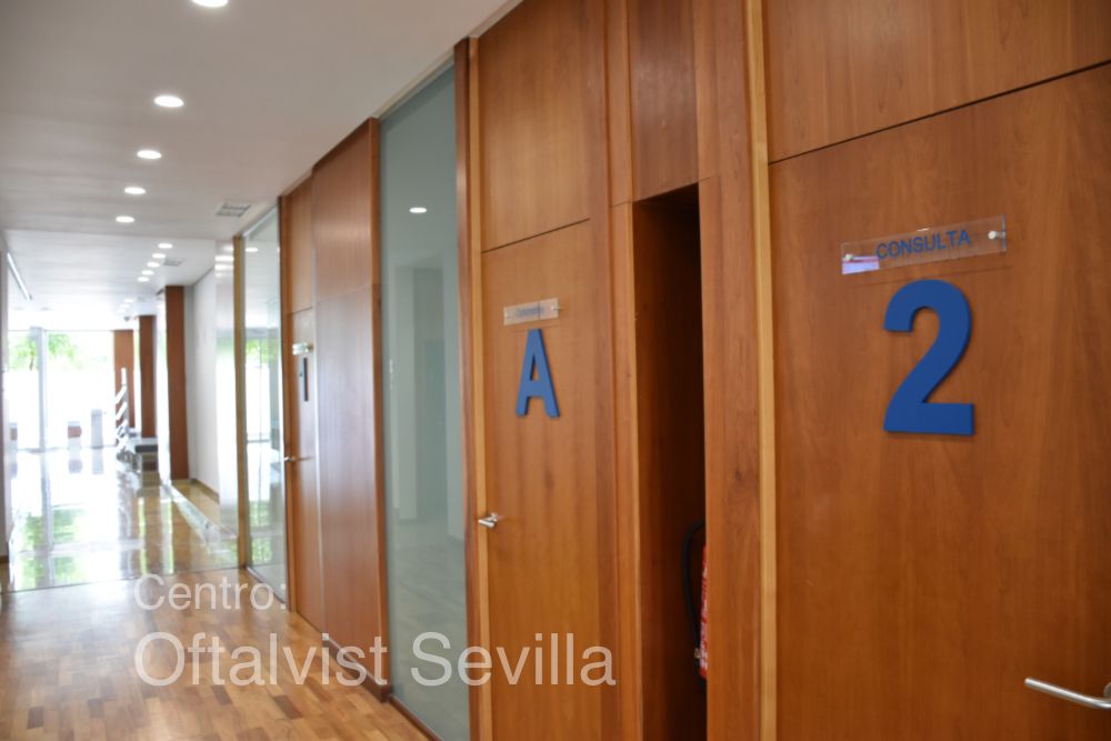 Adrián Hernández Martínez-4