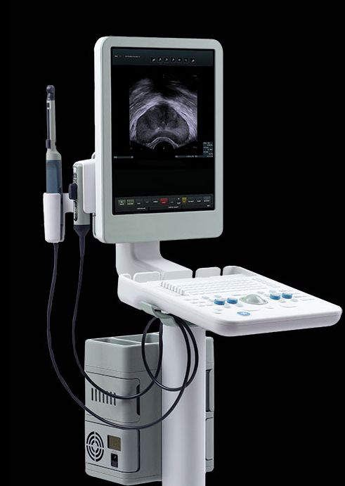 Leonardo Mosè Salamè-3