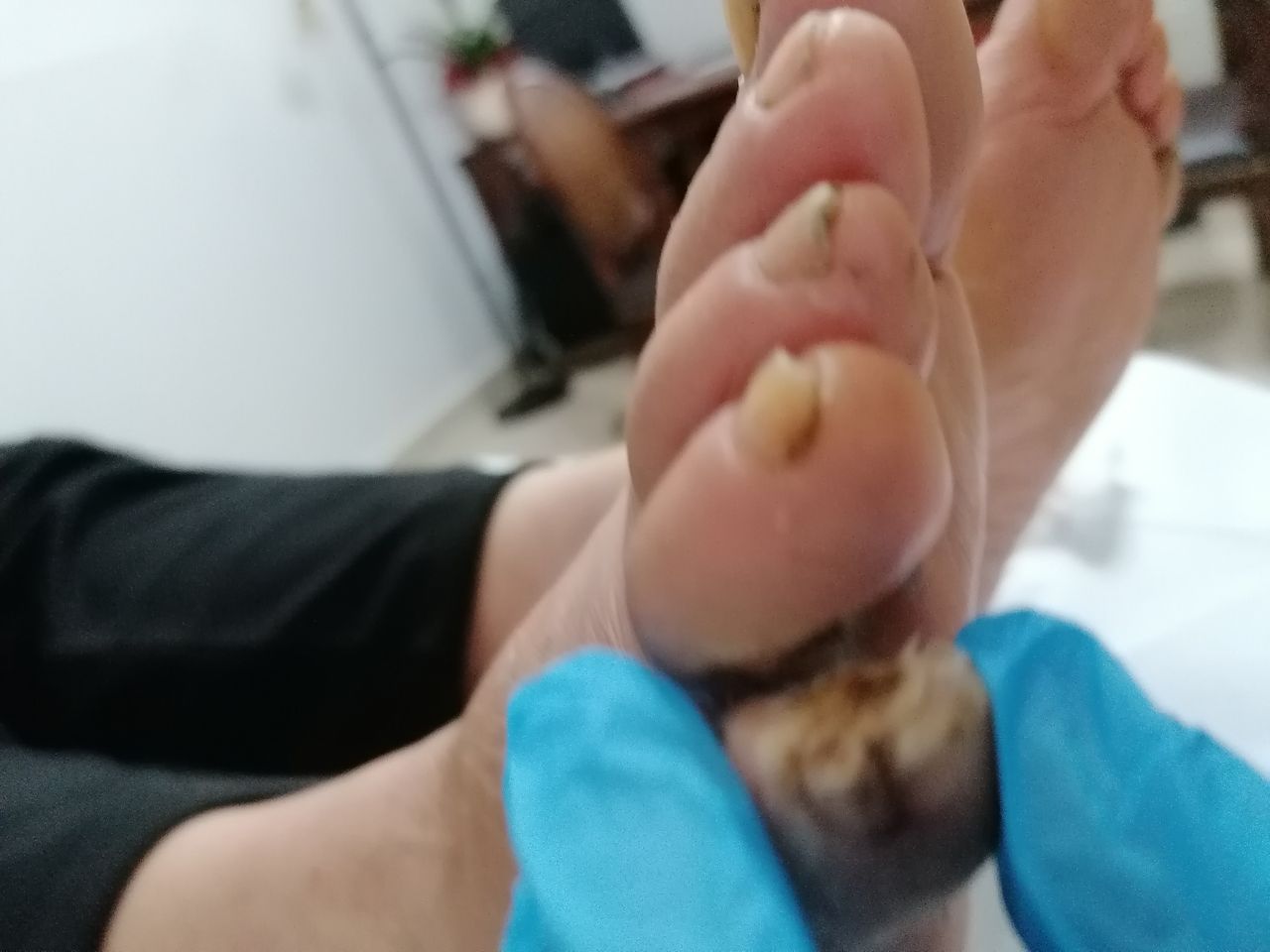 Kassandra Nicolosi-290