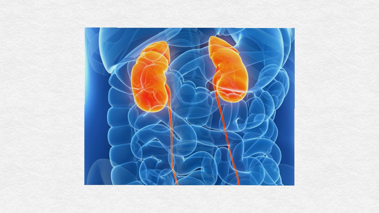 Carlos Moreno Torres-0