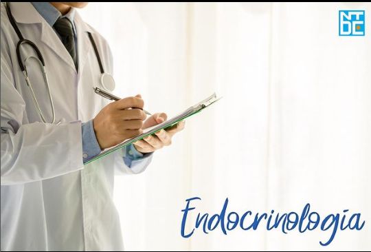 Suset Dueñas Disotuar-5