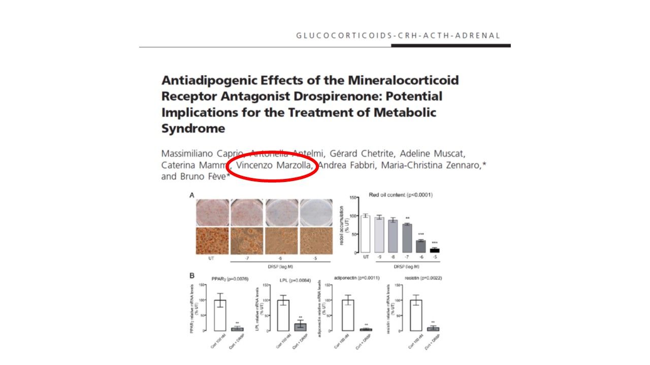 Vincenzo Marzolla-27