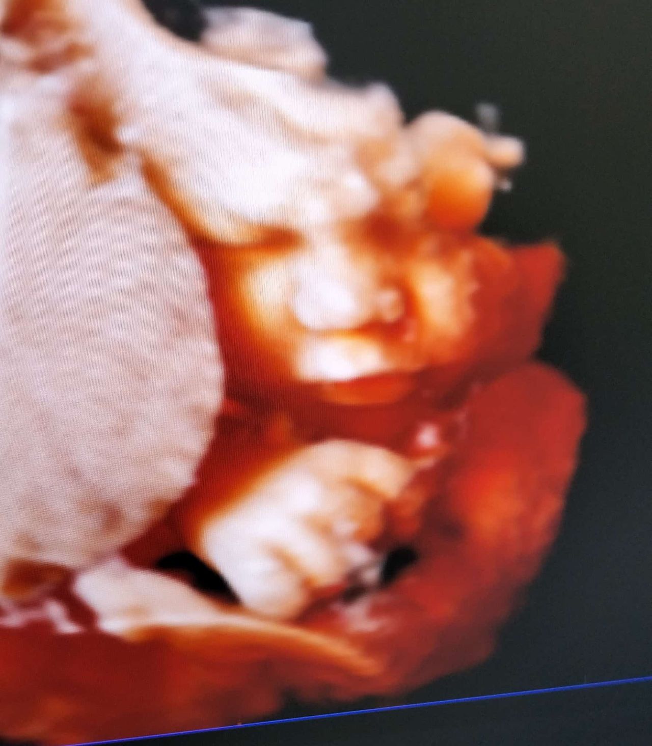 Andreina Vitellino-7