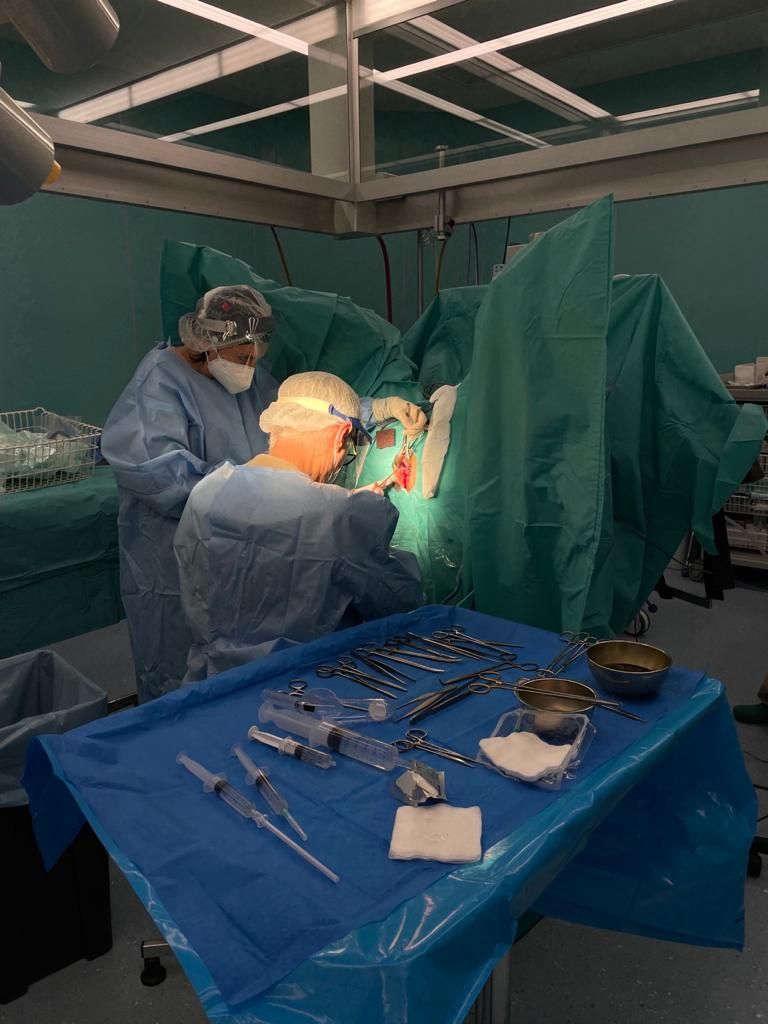 Antonio Bergantino-9