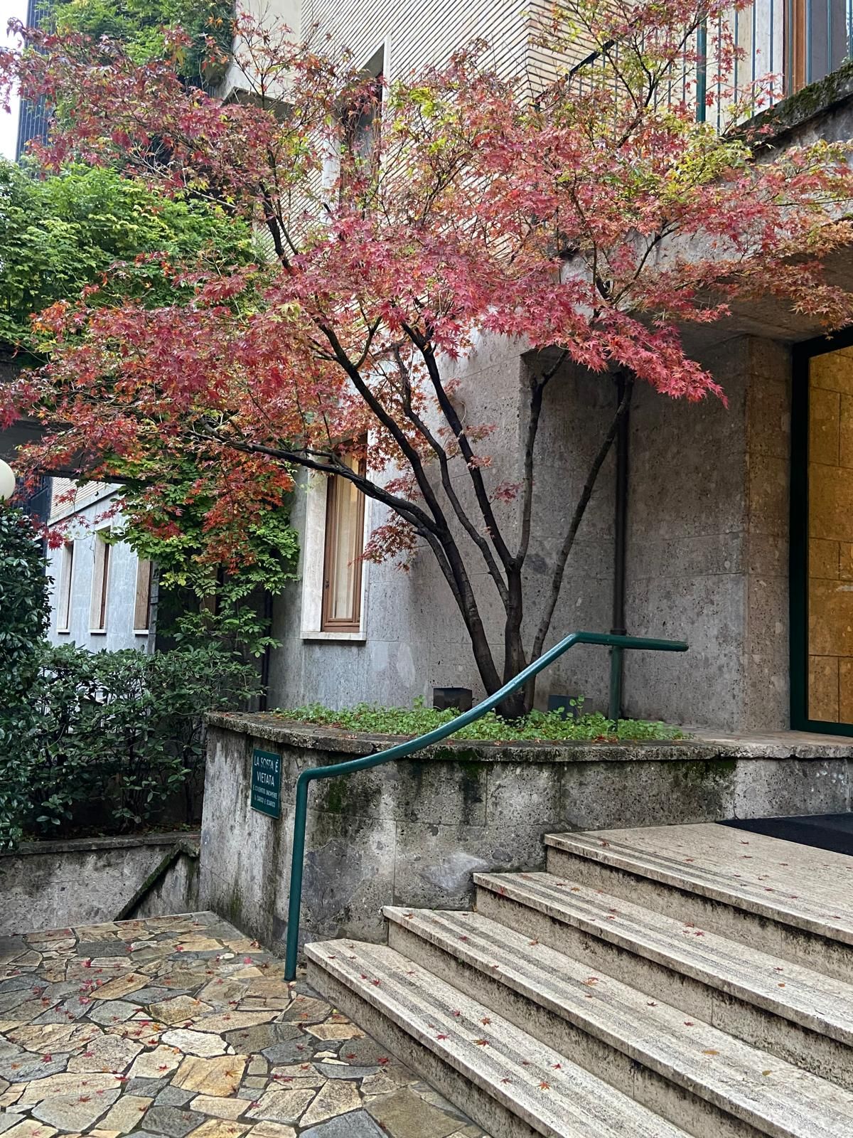 Chiara Lisa Lovati-3