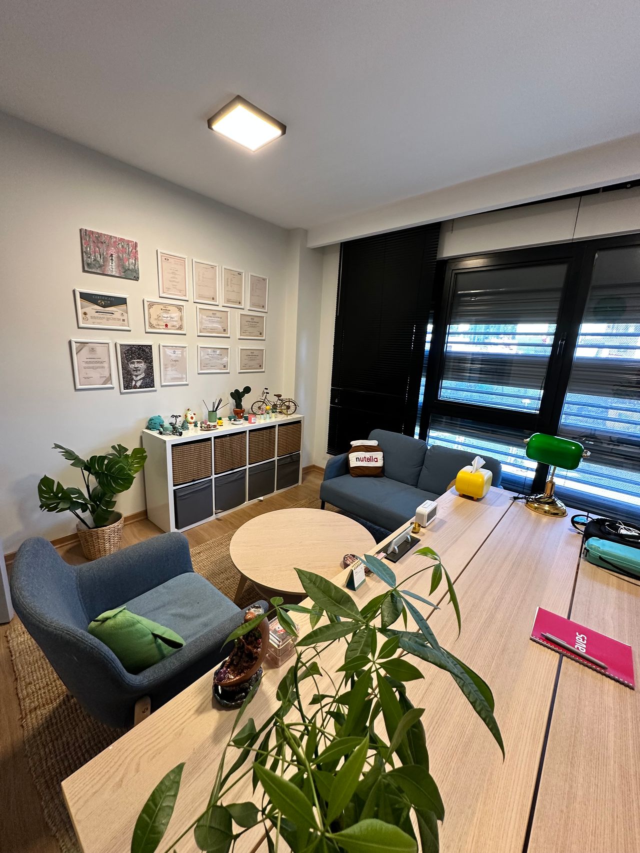 Gül Şirinoğlu Yayıcı-5