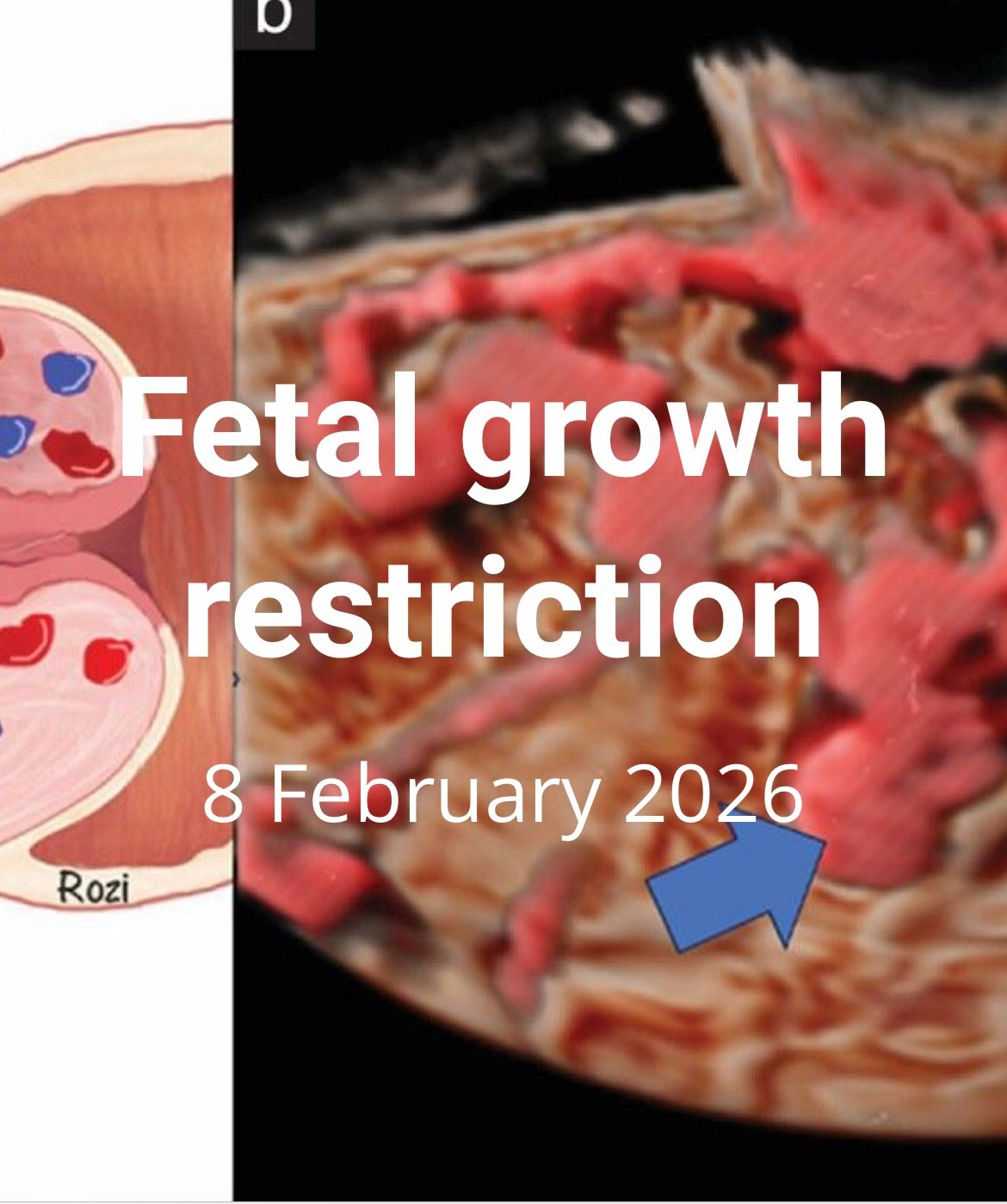 Wioletta Rozmus-Warcholińska-235