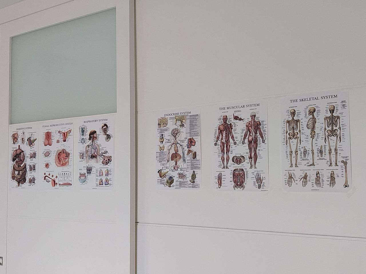 Gianpiero Di Modugno-5